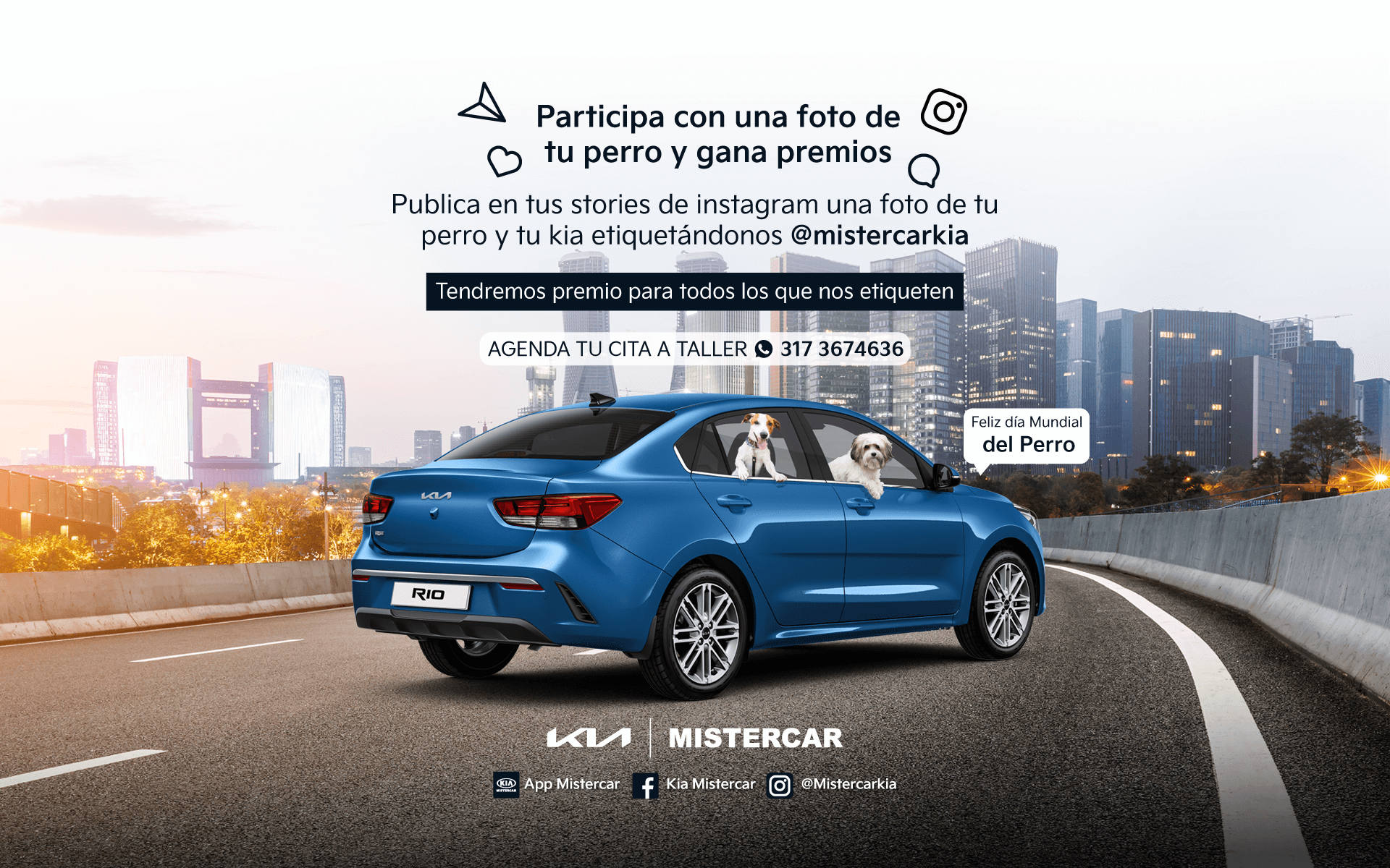 BANNER-2-brief-julio-mistercar